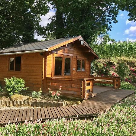 Chambres D'Hotes Les Tilleuls Poullaouen エクステリア 写真